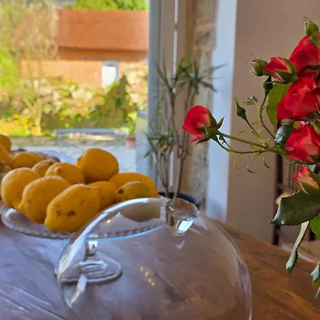 Abreu Do Louro Εξοχικό σπίτι Arbo