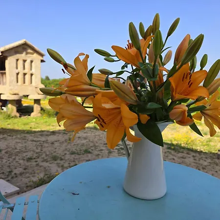 Casa rural Abreu Do Louro Arbo