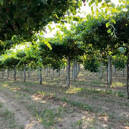 Εξοχικό σπίτι Abreu Do Louro