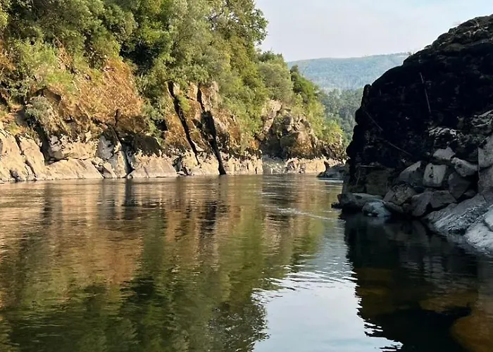 Abreu Do Louro * Arbo