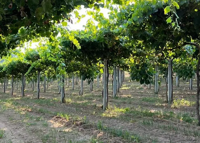 בית כפרי Abreu Do Louro